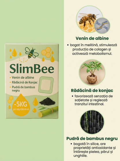 Plasturii Detox SlimBee™